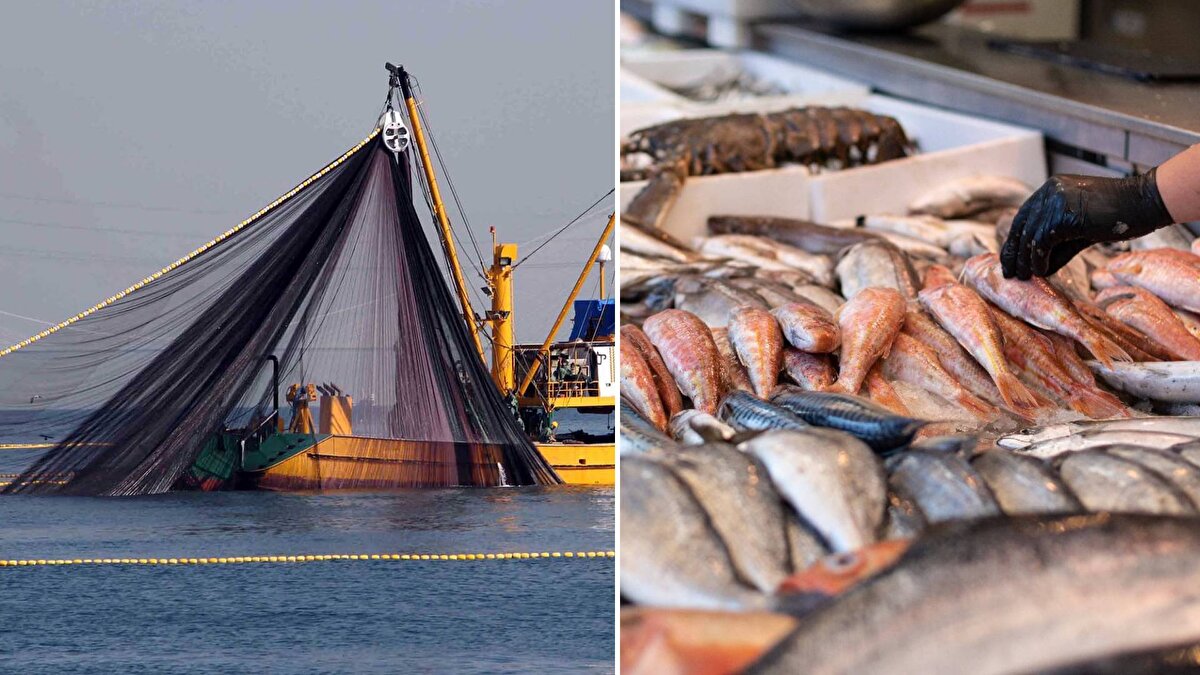 Türkiye genelinde denizlerdeki av yasağının sona ermesiyle beraber balıkçılar "Vira Bismillah" diyerek denize açıldı. Balıkçılar yasağın sona ermesiyle yeni sezonun ilk balıklarını avladı.<br>