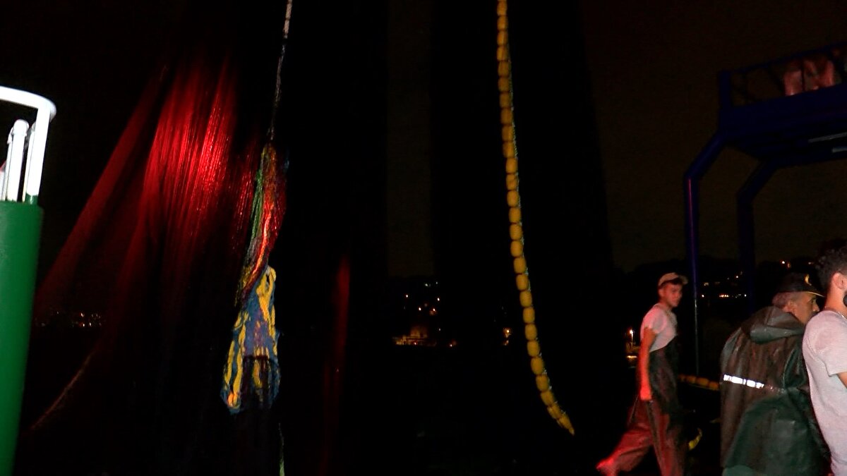 İlk avın ardından Gürpınar Su Ürünleri Hali'ne çıkan balıkçılar ilk mahsulü de mezat usulü satışa çıkardılar. Sezonun ilk hamsisi ise bir kasası 2 bin 250 lira fiyattan alıcı buldu. Balıkçılar, eylül ayında hamsi, palamut, istavrit ve sardalya olmak üzere dört çeşit balık tutulmasını öngördüklerini söyledi.<br><br>