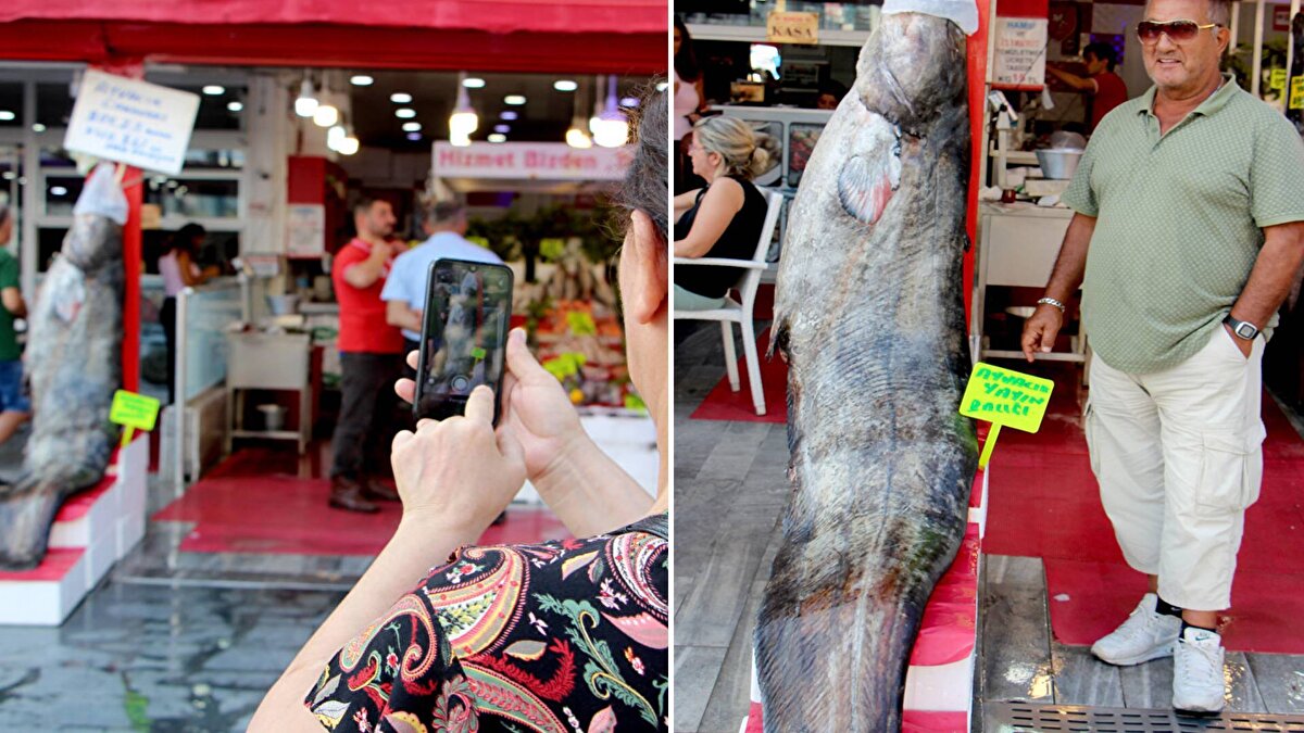 Atakum ilçesi Türkiş Mahallesi'nde balıkçı Emrah Canikli'nin tezgaha koyduğu balık, bölge halkının da dikkatini çekti.