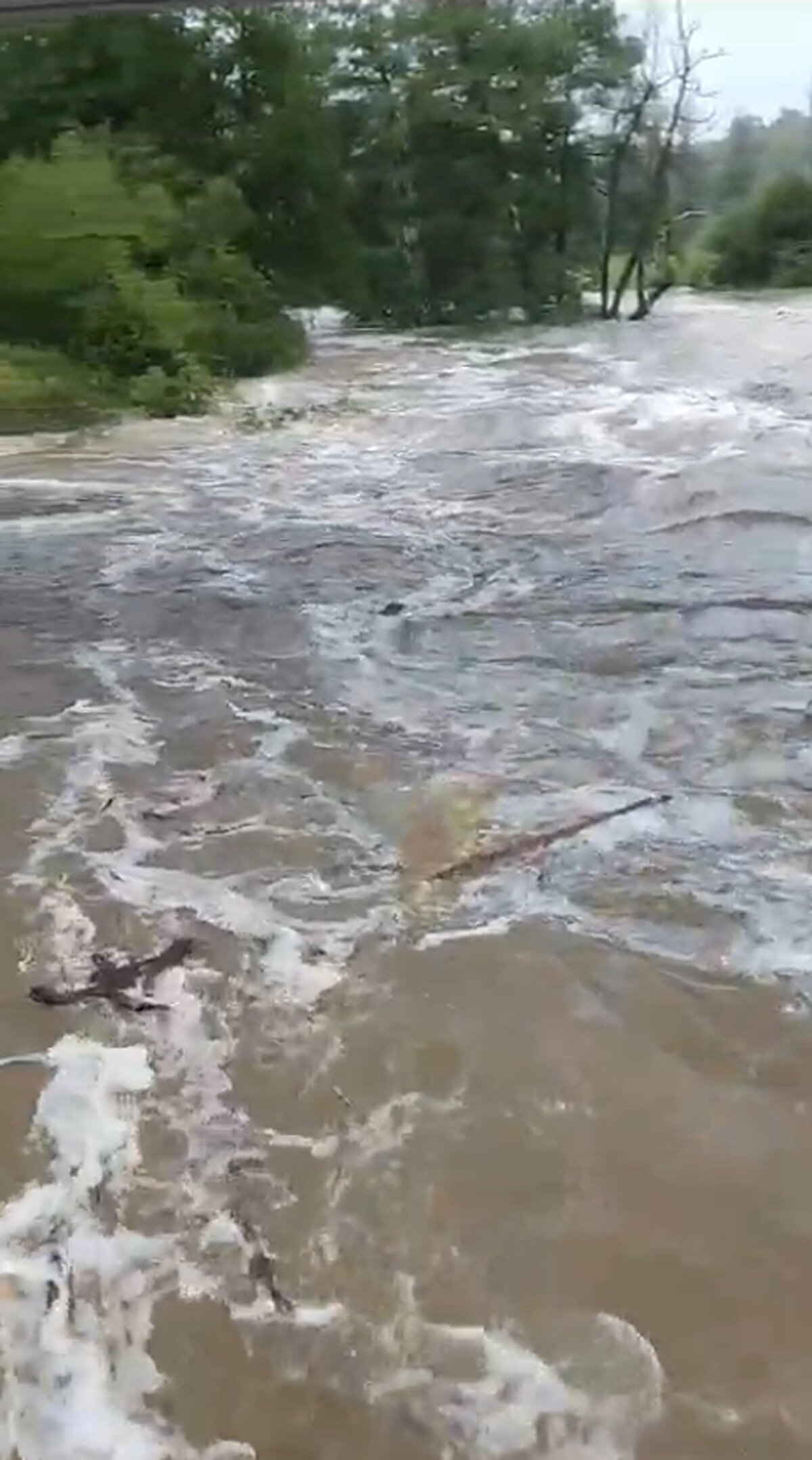 DEMİRKÖY-İĞNEADA KARAYOLU ULAŞIMA KAPANDI<br>Değirmen Deresi'nden taşan sular Demirköy ile İğneada'yı birbirine bağlayan karayolunu kapladı, yol bir süre ulaşıma kapandı.