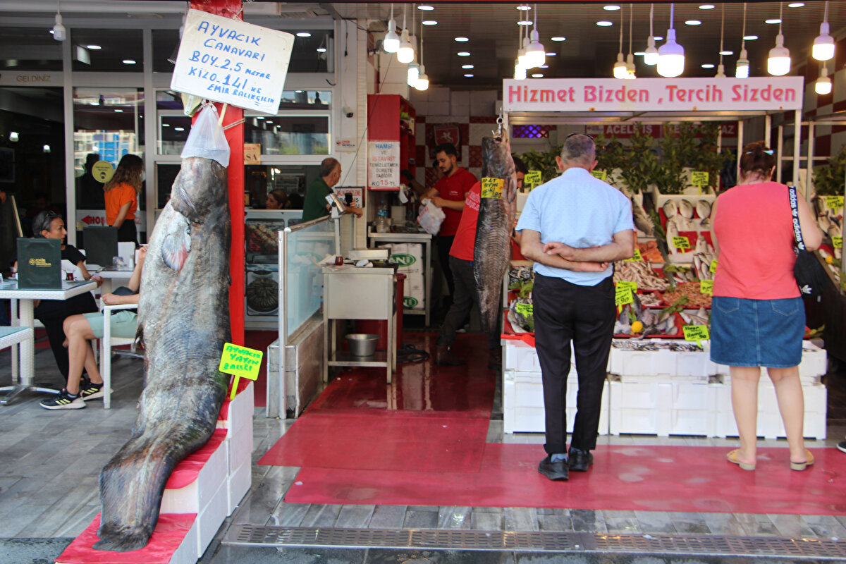 Telefonla fotoğraf çekenler oldu. 3 kişi bu balığı zorla kenara çektiler.