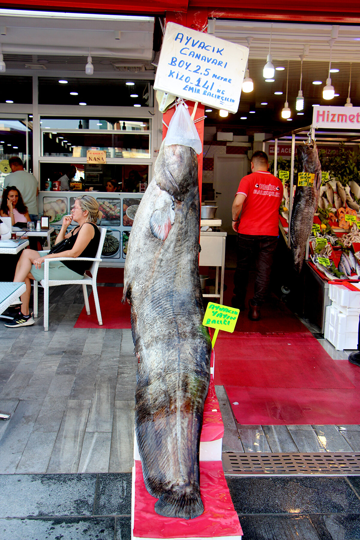 Görüntü de bunu fazlasıyla doğruluyor. Arkadaşlarımızın emeği ve koluna sağlık. Balığımız 141 kilo ağırlığında, biz de 41 kere maşallah diyoruz" diye konuştu.