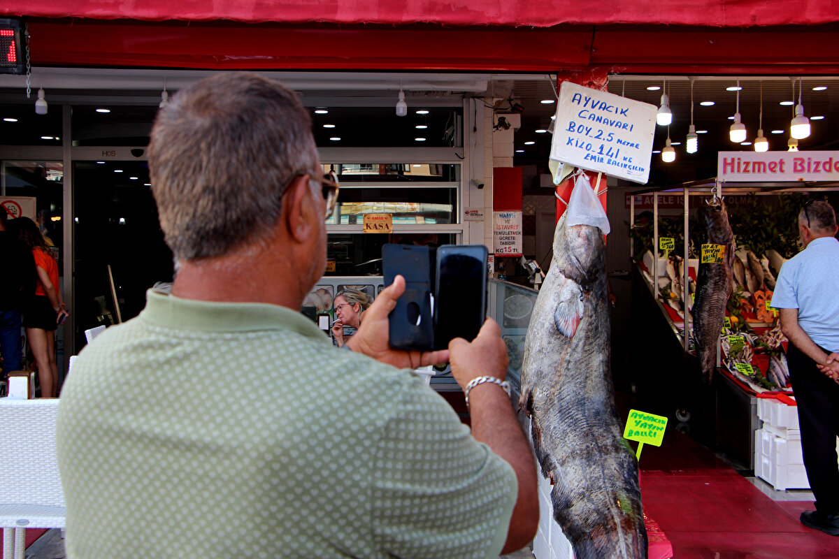 Yarısını sipariş olarak not ettik, diğer yarısını da restoranlara verdik. Balık fazlasıyla talep gördü.