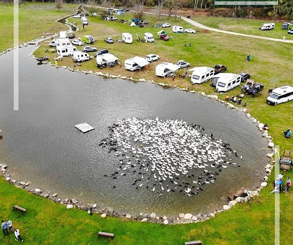 "RUHSATA AYKIRI İNŞA EDİLDİ"<br>'Sisli Vadi' adı altında kurulan ve sele kapılan 18 bungalov evin ruhsata aykırı olarak inşa edildiği tespit edildi.