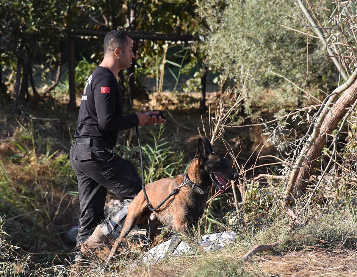 Daha önce bölgedeki balçık nedeniyle koku alamadığı için bekletilen köpekler, arazinin uygun hale gelmesiyle bu sabah arama kurtarma çalışmalarına dahil edildi.<br><br>