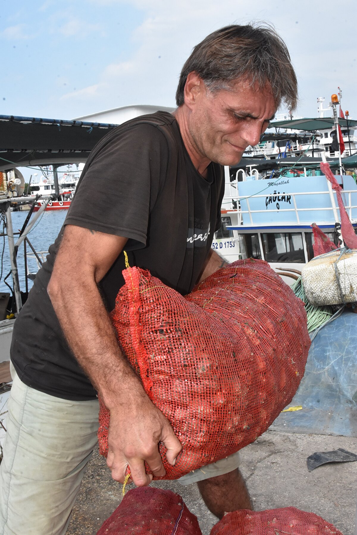 Samsun'dan deniz salyangozu avcılığı için Ordu'ya gelen Engin Tuncer de "Suyun sıcaklığından dolayı balık avcılığı yapamıyoruz. Karadeniz zaten bitmek üzere. Denizimizde bir tek hamsimiz, palamudumuz, mezgidimiz kaldı. Bu nedenle salyangoz avcılığına yöneldik. Balıkçılar bu sektörden para kazanıyor, ailelerini bu şekilde geçindiriyorlar. 3-4 kişilik tayfa ile 'argana' yöntemi ile avcılık yapıyoruz. Sabah ezanı ile birlikte denize açılıyoruz. Her akşam saat 18.00'e kadar 20-25 çuval salyangoz alabiliyoruz. Telefon ile fabrikalara haber veriyoruz. Onlar da kamyon ile gelip, fabrikaya götürüyorlar. Burada orkinos gibi vakumlanarak, ton balığı haline getirilerek, genelde Fransa, İtalya, Amerika, Almanya, Hollanda gibi Avrupa ülkelerine ve Uzak Doğu ülkelerine gönderiliyor" diye konuştu.<br>