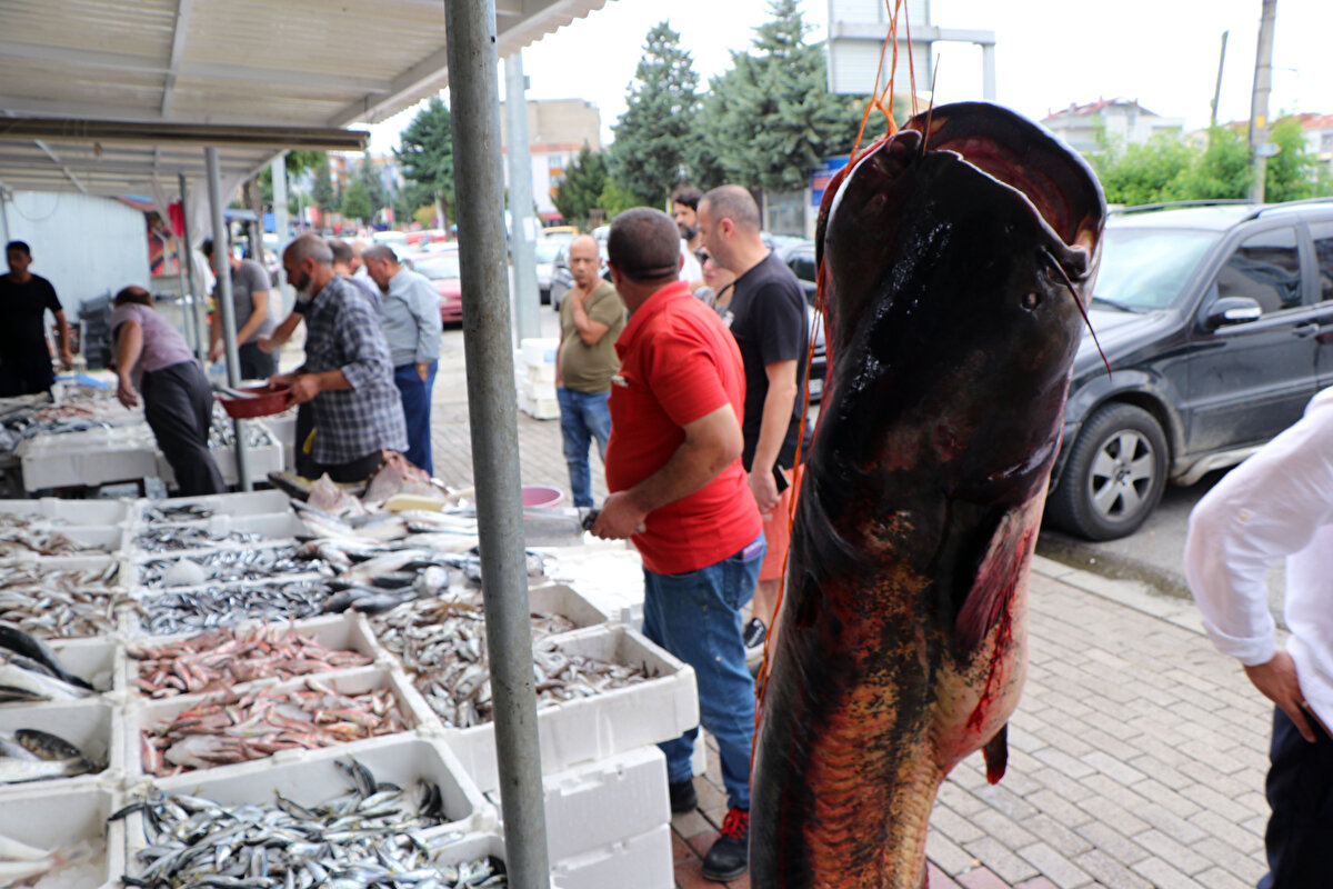 19 Mayıs ilçesindeki balıkçıların tezgaha koyduğu balık, kilosu 120 TL'den satışa çıktı. 