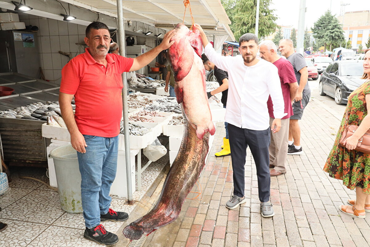 Balıkçı İsmail Güngör (52), "94 kilo ve 2,5 metre uzunluğunda. Dilim dilim satacağız. Kilosunu 120 TL'den vereceğiz. Bu balığın hastaları var. İlçelerden, çevre illerden gelip, yayın balığı alıyorlar. Çok kişi sabahtan beri balığın fotoğrafını çekti. Balıkla birlikte özçekim bile yaptılar" dedi. <br>