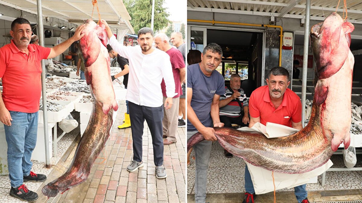 Bafra ilçesindeki Altınkaya Barajı'nda balıkçıların ağına takılan 2,5 metre boyunda ve 94 kilogram ağırlığındaki yayın balığı, satışa çıkarıldı.