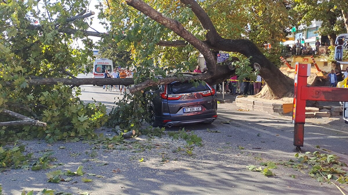 150 yaşında olduğu belirtilen çınar, park halindeki 67 ABH 487 plakalı cipin üzerine devrildi.