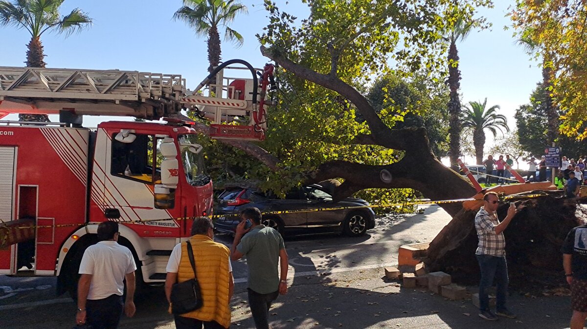 Mehmet Yıldız, park için durdukları sırada bir ses duyduklarını ve ağacın devrilmesi sonucu cipin camından çıktıklarını söyledi.