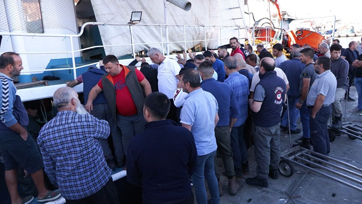 İstanbul Büyükşehir Belediyesi'nin iştiraki,İstanbul Yönetim Yenileme A.Ş. (İSYÖN) tarafından işletmeciliği yapılan Gürpınar Su Ürünleri Hali'nde, balıkçı tekneleri yoğunluk oluşturdu.