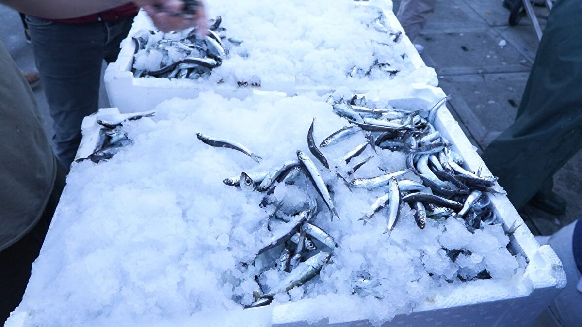 GEÇEN YIL 130 TON OLAN PALAMUT BU YIL HİÇ YOK<br><br>Geçen yıl aynı dönemde palamut 130 ton 277 kilogramken bu sene hiç olmaması dikkat çekti. Limana yaklaşan gemilerden balıkları alan satıcılar, balık kasalarını araçlarına yükleyerek halden ayrıldı. <br>