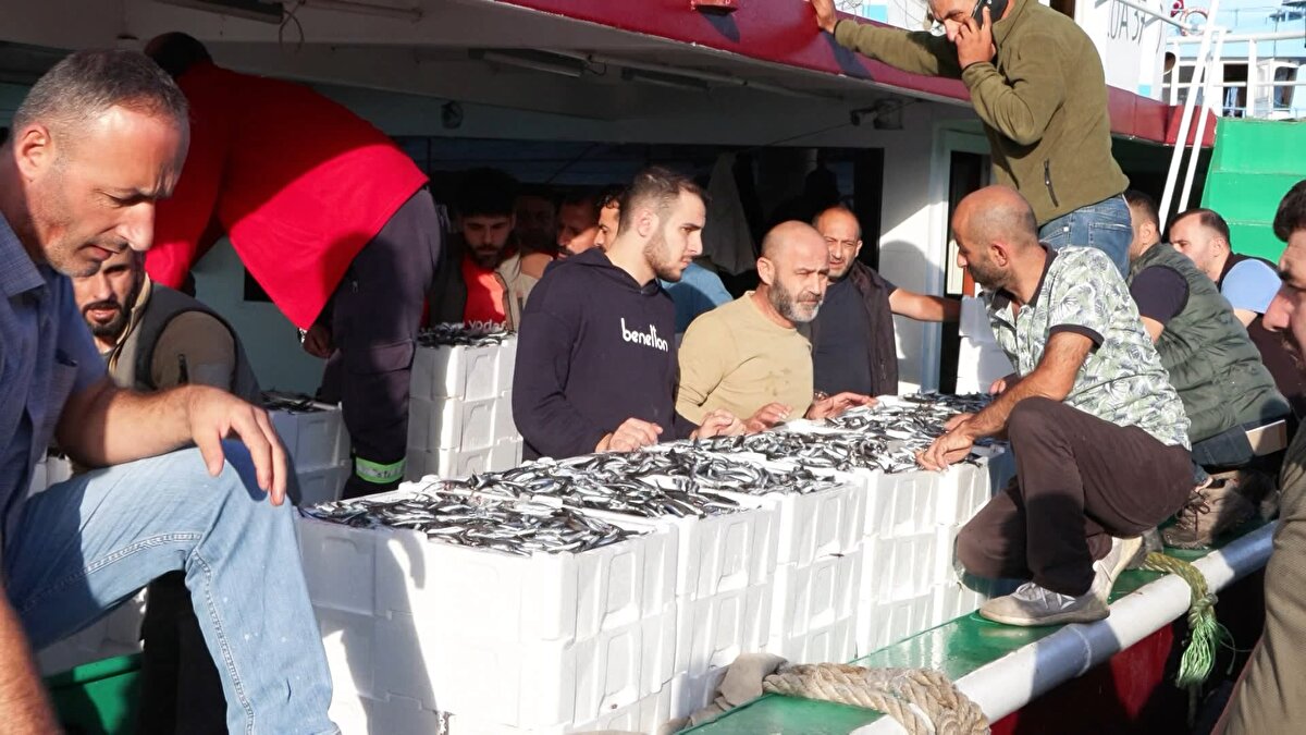 "BU SENE HAMSİ YÖNÜNDEN DENİZ BEREKETLİ"<br><br>Balık Teknesi sahibi Ali Rıza Işık, "Bu sene hamsi yönünden deniz bereketli. İnşallah daha güzel olacak. Karadeniz hamsisi de çıktığı zaman vatandaşımız bol bol ucuz hamsi yer inşallah. Bu sene palamut baya zayıf. Çinekop, lüferin zamanına daha 1 ay var. Marmara Denizi'nde şu an beklenti güzel. Herkese yetecek balık var şu anda. Karadeniz hamsisi de çıktığı zaman piyasa oturur" şeklinde konuştu.