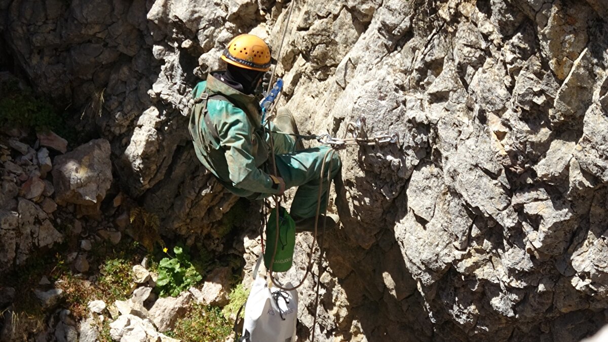Yıldız, "11 Eylül tarihi itibarıyla mağara içerisinde ve dışında 200 personelle çalışmalar hızlı, sağlıklı ve risk minimalize edilerek devam etmektedir. Kurtarma operasyonunun bütün aşamaları sağlık personelinin kontrolünde olup, Mark'ın en tehlikesiz, en sağlıklı yukarı çıkması için herkes seferber olmuş durumda. Bin 100 metreden çıkıp, 900 metrelere geldik; aynı gün içerisinde 680 metreye ulaştık. Burada bir kamp yaparak Mark'ı dinlendirdik. Akabinde tekrar hareketimiz başladı ve 640 metrelere geldik, süreç devam etti. Şu anda 400 metreye kadar ulaştık. Mark, 400 metreden 300 metreye doğru hareket ediyor. Tamamen doktor eşliğinde süreç devam etmektedir. Mark'ın sağlık durumu iyidir ve yalnızca sıvı olarak beslenmesi yapılmaktadır. Beklentimiz; 1,5 gün sonra Mark'ın mağaradan çıkışının tamamlanması yönündedir" dedi.<br>