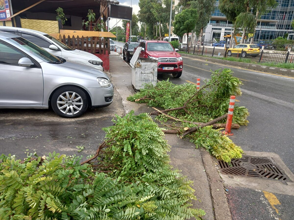 Kentin birçok noktasında yine fırtına nedeniyle ağaçların dalları kırılıp yola düştü. Dallar, Mersin Büyükşehir Belediyesi ekipleri tarafından kaldırıldı.