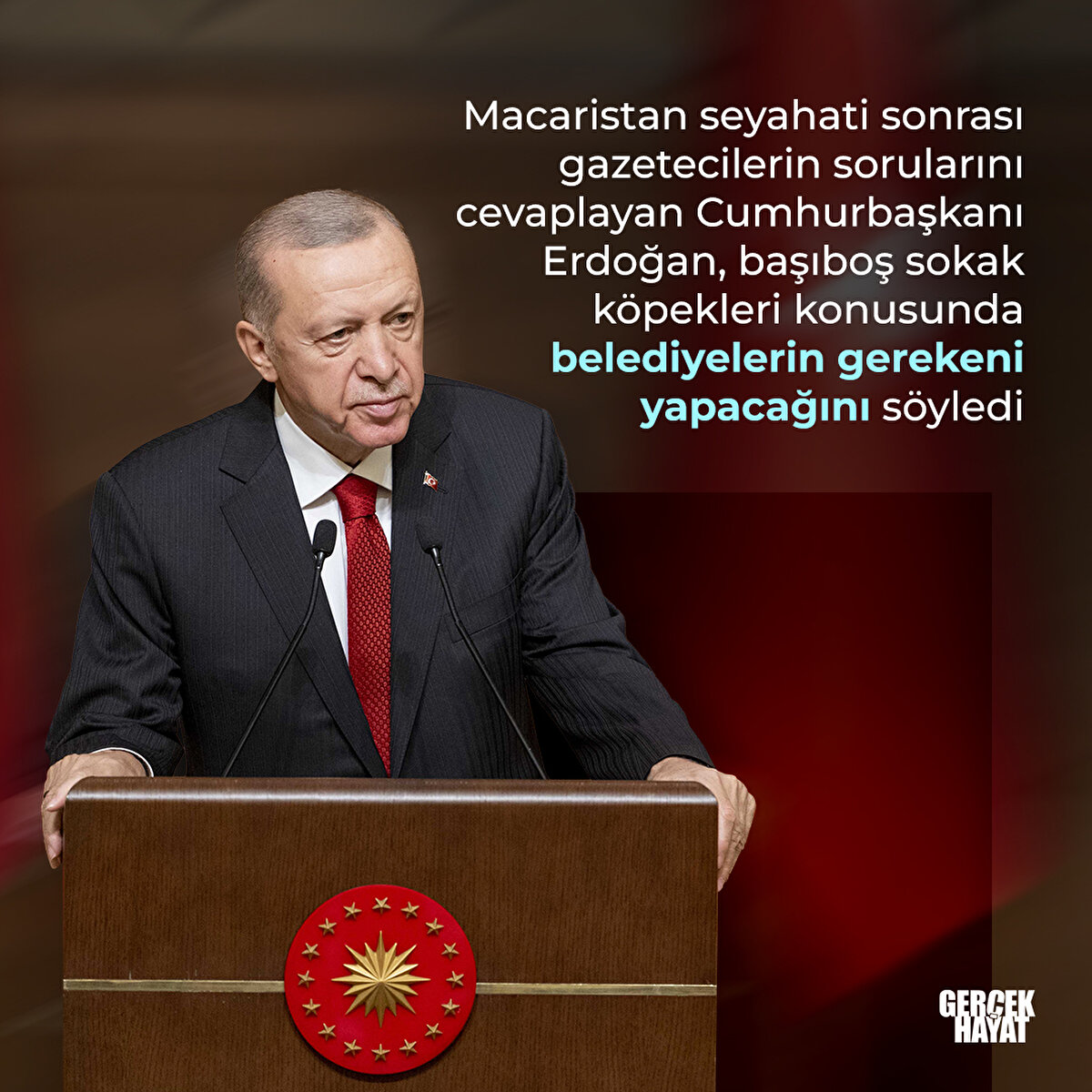 Cumhurbaşkanı Erdoğan, başıboş sokak köpekleri konusunda belediyelerin gerekeni yapacağını söyledi