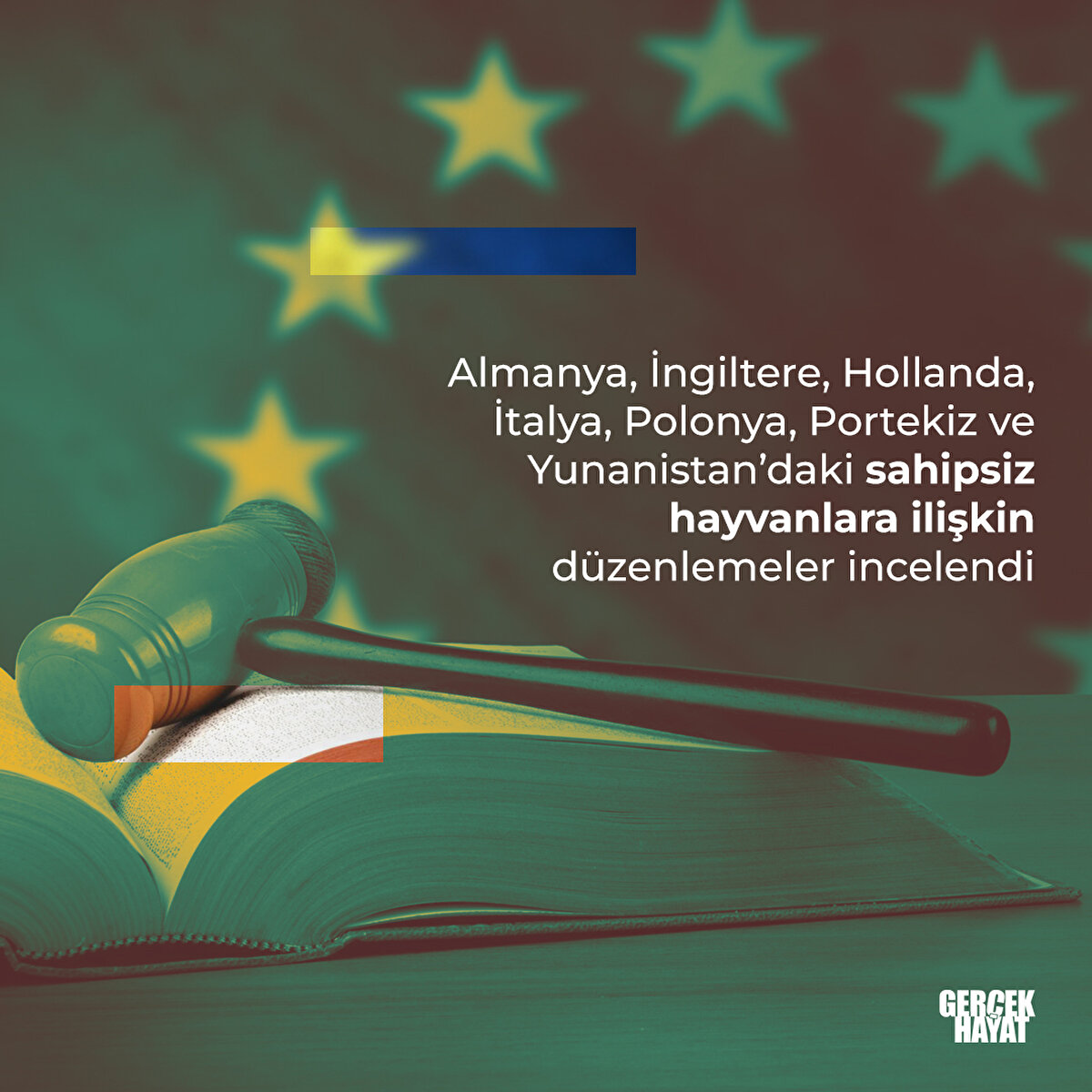 Avrupa'daki sahipsiz hayvanlara ilişkin düzenlemeler incelendi