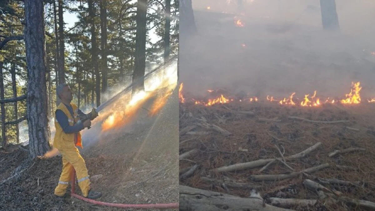Konakkuran Mahallesi'ndeki ormanlık alanda henüz belirlenemeyen nedenle yangın çıktı.<br><br>