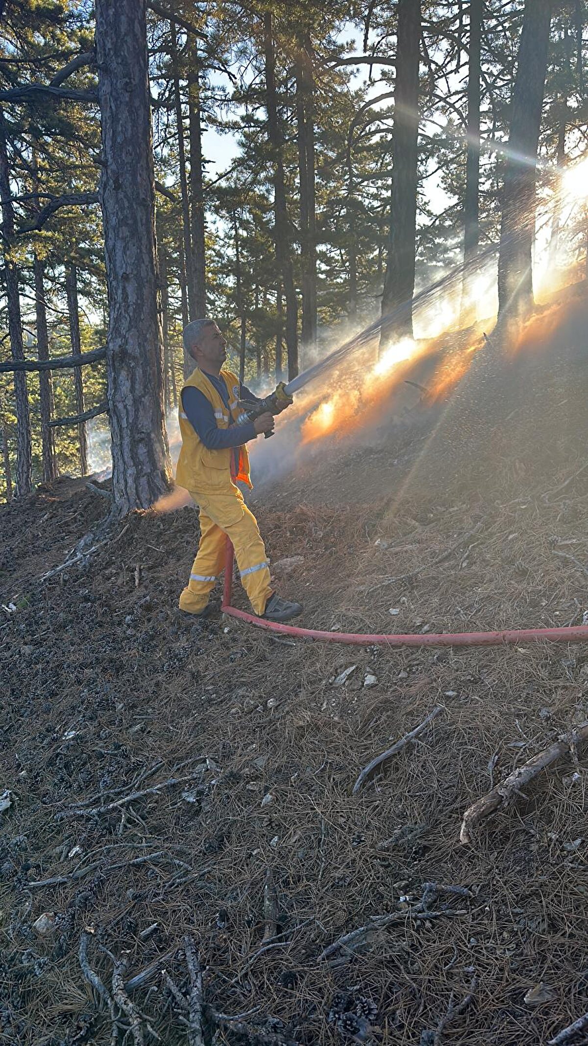 Ekipler, havadan ve karadan müdahaleyle yangını kontrol altına aldı.<br><br>