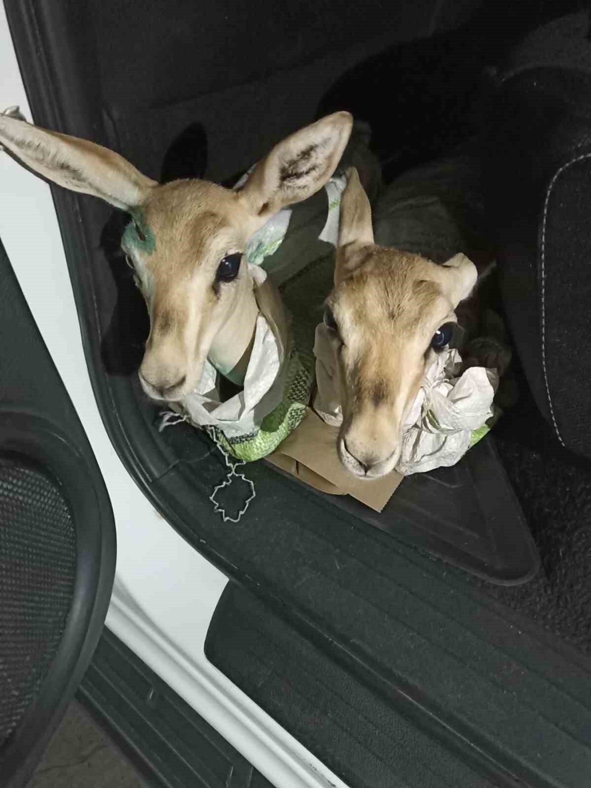  Doğa koruma ekipleri 3 şüpheliye 200 bin TL idari para cezası uygulandı.