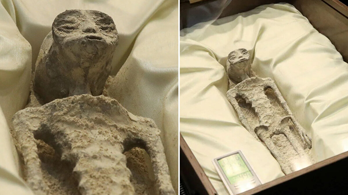 Yasama Sarayı San Lazaro'da yeminli olarak konuşan Maussan, "Bu örnekler bizim karasal evrimimizin bir parçası değil… Bunlar bir UFO enkazından sonra bulunan varlıklar değil. Diatom [yosun] madenlerinde bulundular ve daha sonra fosilleştiler" dedi.<br><br>