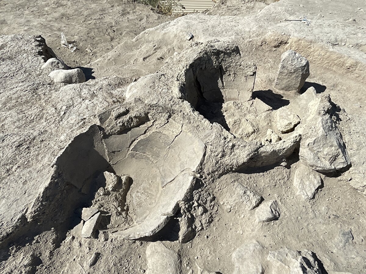 "Arslantepe'nin en eski tabakalarında çalışıyoruz"<br><br>6 Şubat'taki depremlerden 3 hafta sonra bölgeyi, çalışanları görmek için Malatya'ya geldiğini belirten Restelli, afette höyüğün biraz hasar gördüğünü tespit ettiklerini, depremlerden dolayı kazı ve araştırma programını değiştirdiklerini ifade etti.<br><br>