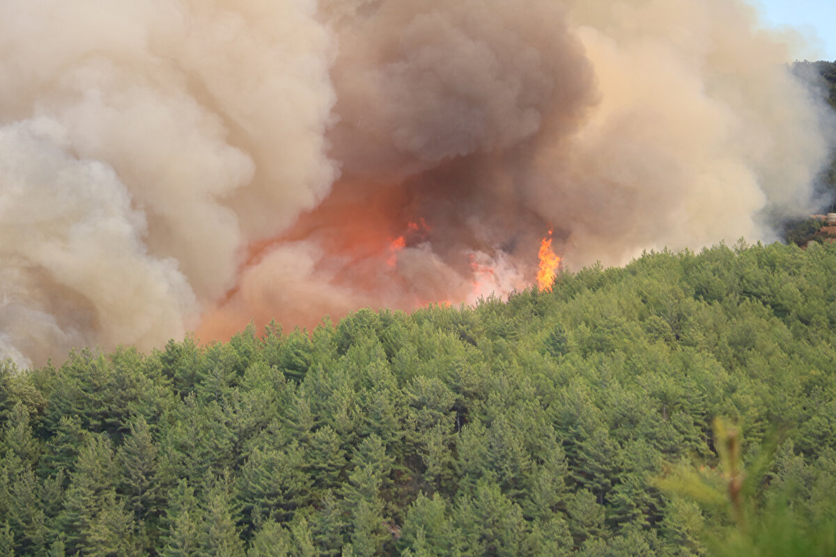 Yangın söndürme çalışmalarına 8 helikopter, 6 uçak, 42 arazöz, 6 su tankeri, 10 ilk müdahale aracı, 4 dozer ve çok sayıda kara ekibiyle müdahalede edilirken, araç sayısının yeni katılacaklarla artacağı belirtildi.<br><br>