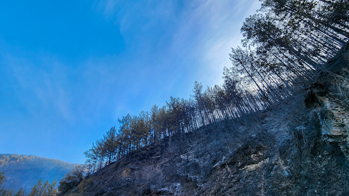TAHLİYE EDİLEN EVLERİN ÇEVRESİ TAMAMEN YANDI<br>Vadi yamaçlarında dağınık haldeki yerleşim yerleri dün tedbir amaçlı tahliye edildi. 1 ev yangın nedeniyle zarar görürken tahliye edilen 17 evin çevresindeki ormannın tamamen yandığı gözlendi. Kara ekiplerinin müdahalesiyle yangın evlere sıçramadı. Yangın vadi içerisine ilerledi. Vadiye giden yolun kenarlarındaki ağaçlık alanın da tamamen yandığı görüldü. <br>Bu sabah erken saatlerde havanın aydınlanmasıyla birlikte havadan müdahale yeniden başlayarak kara ekiplerine destek veriyor.