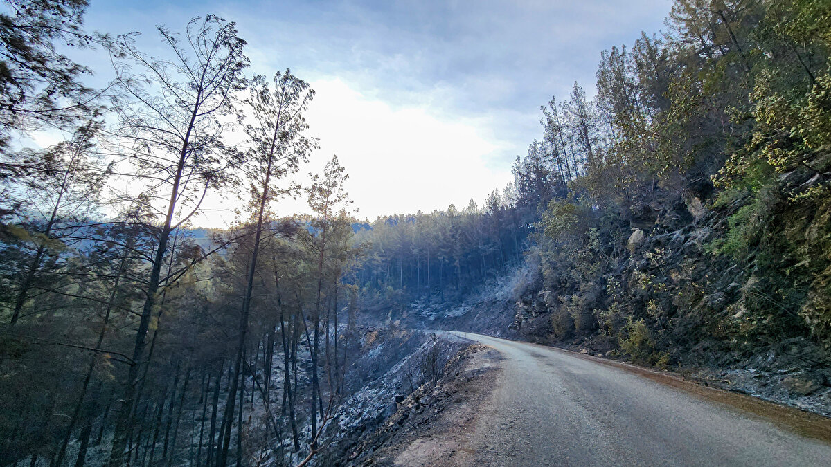 11 helikopter, 10 yangın söndürme uçağı ve 500'ün üzerinde yangın söndürme işçisinin müdahale ettiği yangında dün akşam saatlerinde havanın kararmasıyla birlikte havadan müdahaleye ara verildi.