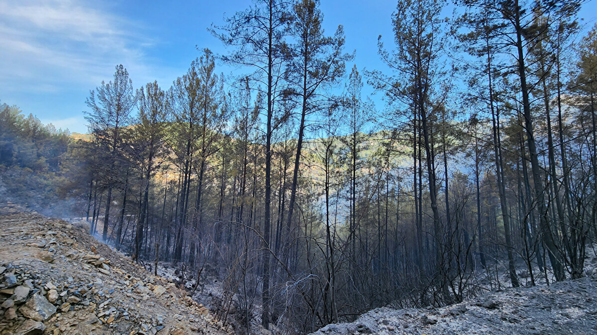 Kara ekipleri gelen görüntüler ışığında yönlendirilerek yangına müdahale etti.<br>