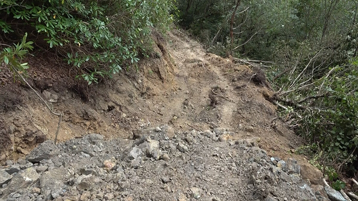 'HERKES BAHÇEDE ÇALIŞIRKEN ONLAR DA BURADA ÇALIŞMIŞ'<br><br>Kaçak kazıyı sonradan fark ettiğini belirten Hasan Atalı, "Aşağıda bir mahalle var, taşları da yolun kenarına koymuşlar. Taşlar yuvarlansa aşağıdaki evler zarar görür. Güvenlik güçlerine haber verildi. Zannediyorum işin peşini bırakmazlar. Herhalde 15-20 gün içinde olmuş. Milleti iyi takip etmişler. Herkes çayında, fındığında çalışırken onlar da ormanda çalışmışlar" diye konuştu.<br>