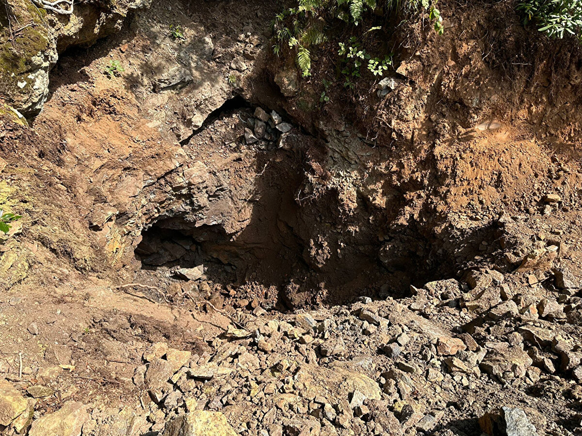 Şüpheliler, kayalık zemini iş makinesiyle kırıp, mağara şeklindeki çukurda arama yaptı. Alanda bir şey bulup bulmadıkları bilinmeyen ve ormanda irili ufaklı çok sayıda da çukur açan kişiler, bazı araç gereci bırakıp bölgeden ayrıldı. 