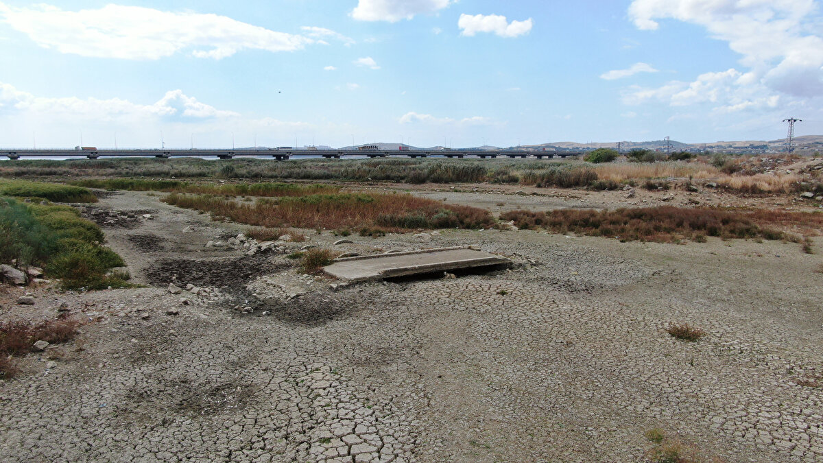 İstanbul'un en dolu barajı ise yüzde 54.68 ile Ömerli barajı oldu.<br><br>