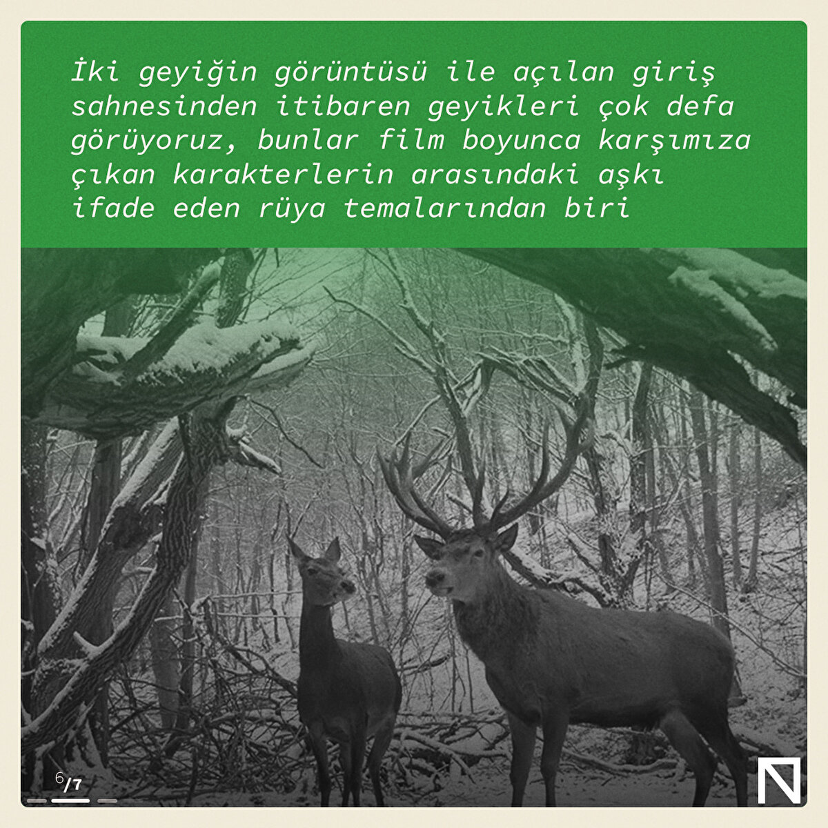 İki geyiğin görüntüsü ile açılan giriş sahnesinden itibaren geyikleri çok defa görüyoruz, bunlar film boyunca karşımıza çıkan karakterlerin arasındaki aşkı ifade eden rüya temalarından biri