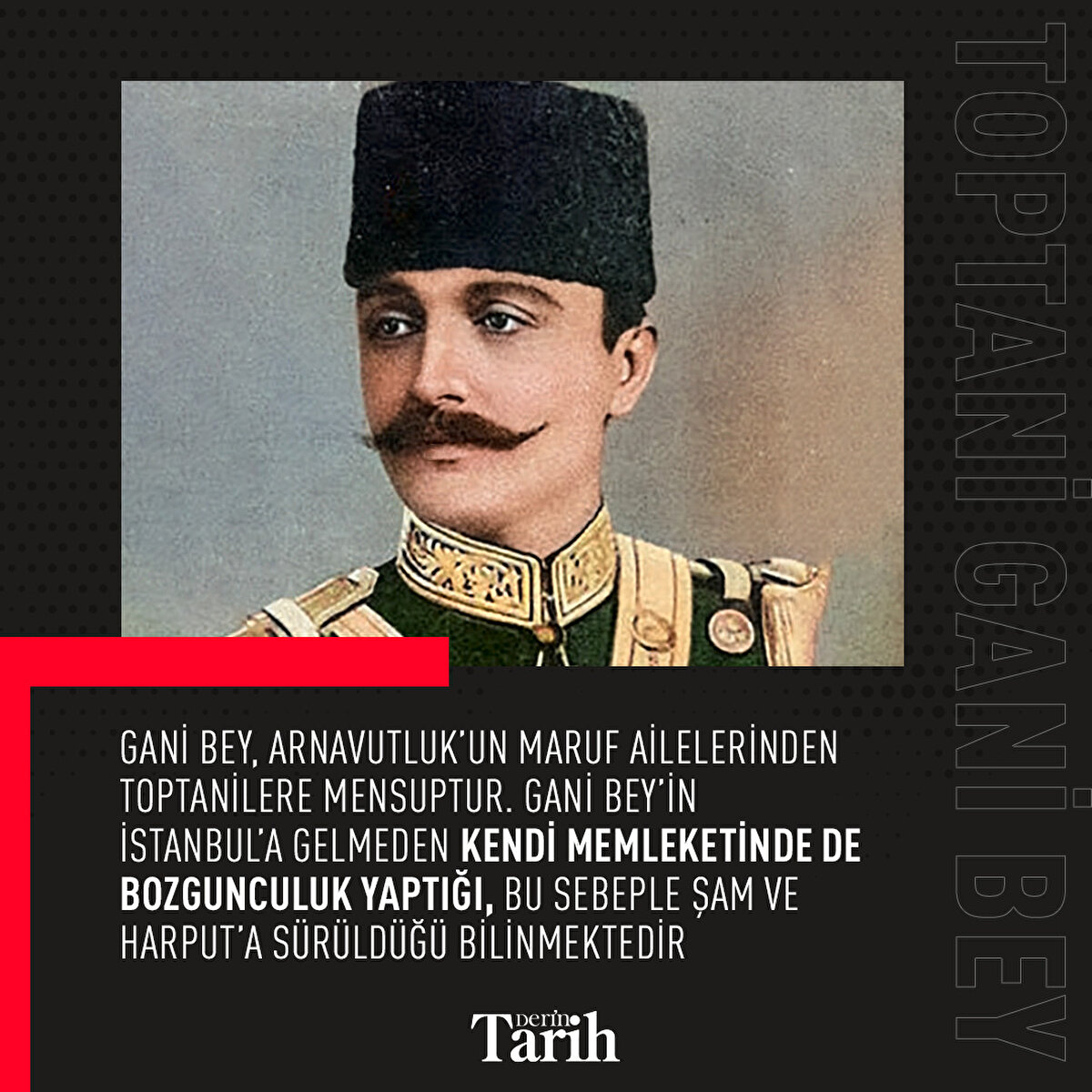 Gani Bey, Arnavutluk’un maruf ailelerinden Toptanilere mensuptur