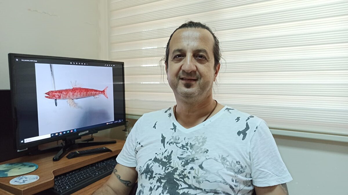 'EGE'YE KADAR YAYILABİLİR'<br>Kızıldeniz'den gelen balık türlerinin zaman içerisinde Ege ve Marmara denizlerine kadar yayıldığını ifade eden Turan, şöyle konuştu:<br>"Mersin ve Antalya üzerinden Ege'ye yayılır mı bilemiyorum. Çünkü diğer türler yayıldı. Biz de elimizden geldiğince bu konuda çalışmalar yaparak yöneticilere konuyla ilgili bilgi sağlıyoruz. Araştırmalarımızın sonuçlarını iletiyoruz."<br>Denizcilik Meslek Yüksek Okulu Sualtı Programı Dr. Öğr. Üyesi Servet Ahmet Doğdu da labarotuvarda Kızıldeniz'den gelen 'Synodus Randalli' balık türünün genetik incelemelerini yapmak için kas örneklerini aldıklarını, yapılarını morfolojik olarak da öğrenmek için çalışma yaptıklarını açıkladı.