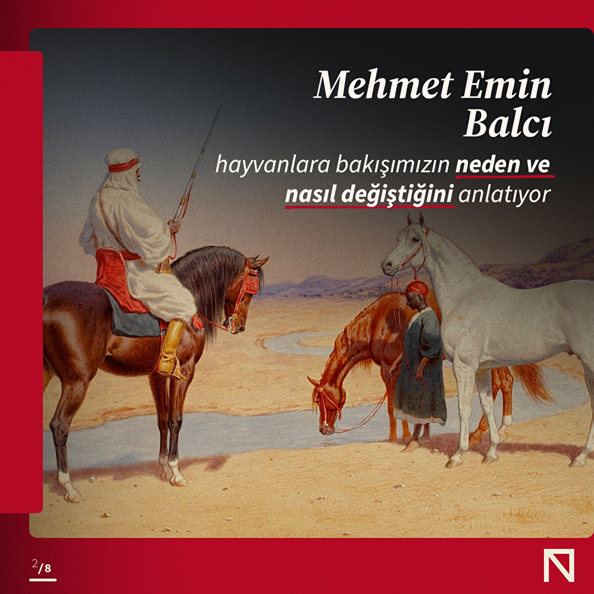 Mehmet Emin Balcı, hayvanlara bakışımızın neden ve nasıl değiştiğini anlatıyor