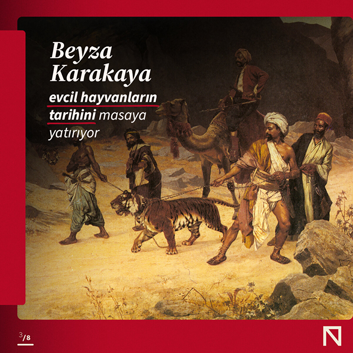 Beyza Karakaya, evcil hayvanların tarihini masaya yatırıyor