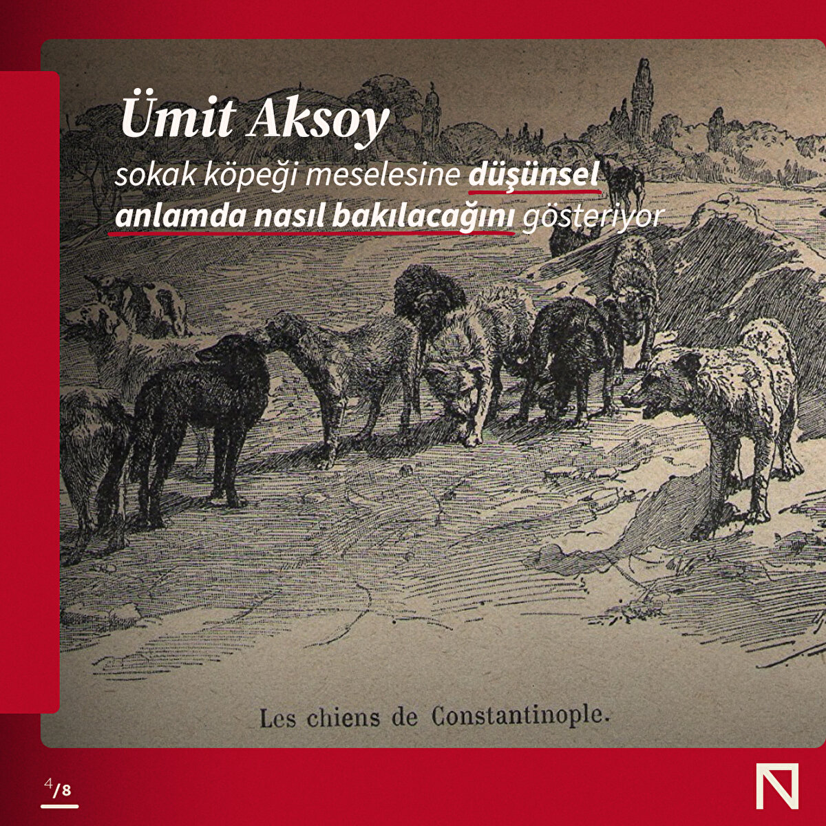 Ümit Aksoy, sokak köpeği meselesine düşünsel anlamda nasıl bakılacağını gösteriyor