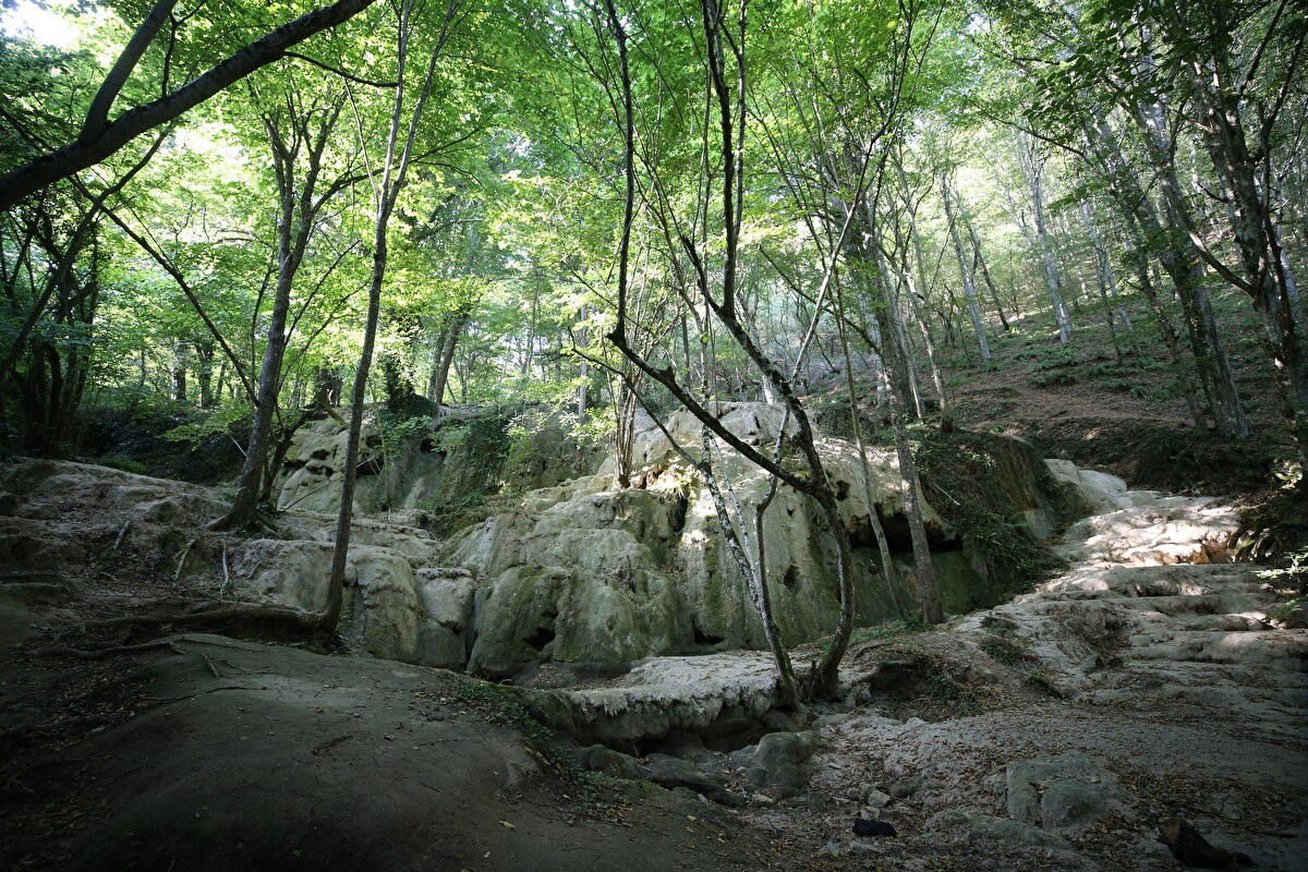 Kırklareli Üniversitesi Mühendislik Fakültesinde hidrolik ve su kaynakları alanında çalışmalar yürüten Dr. Öğretim Üyesi Mustafa Utku Yılmaz, iklim değişikliği ve insan faktörlerinin etkisi ile su kaynaklarının azaldığını söyledi.<br><br>Trakya'nın eşsiz bir coğrafyada bulunduğunun altını çizen Yılmaz, Trakya ekonomisinin tarıma bağlı olduğu için su kaynaklarının biraz daha ön planda olduğunu vurguladı.<br><br>Istranca Dağları'nın önemli su kaynaklarına sahip olduğunu dile getiren Yılmaz, bu kaynakların yağışların yetersiz olması ve kuraklık nedeniyle kuruma noktasına geldiğini belirtti.