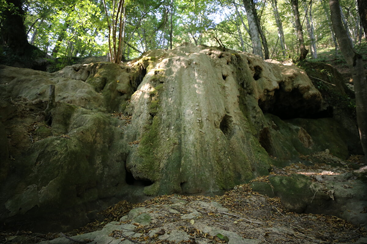 Bu yıl kuraklığın geçen yıllara göre biraz daha fazla hissedildiğini anlatan Yılmaz, şöyle devam etti:<br><br>"Bölgemizdeki su kaynaklarında belirgin bir şekilde azalma var. Birçok göl kuruma noktasına geldi, barajlardaki su miktarları çok azaldı. Özellikle doğa harikası olan şelalelerde de durum aynı. Birçok şelalenin suyu kurudu, bazılarının ise su seviyesi azaldı. Şelaleler çok çeşitli biyolojik çeşitlilik içermekte. Burada çeşitli bitki türleri yaşamakta, çeşitli hayvanlar barınmakta. Doğanın bize sunduğu doğa harikalarıdır."<br><br>Yılmaz, şelalelerin kaynak ve yağmur sularıyla beslendiğini, bir şelalenin oluşmasının belki de binlerce yıl aldığını ifade etti.<br>