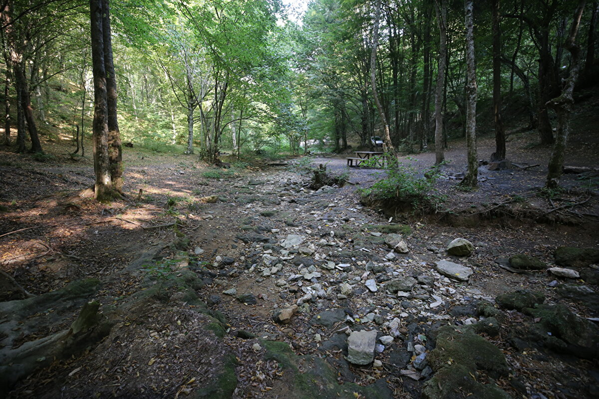Meteoroloji Genel Müdürlüğü verilerine göre, kentte son 3 yılda yağış miktarı azaldı. Kentte 2021 yılında metrekareye 865 kilogram, 2022 yılında 495 kilogram, 2023 yılında ise (Ocak-Eylül) 315 kilogram yağış düştü.<br><br>Birçoğu ormanlık alanda doğal olarak oluşan şelalelerden bazıları kuraklığın etkisiyle susuz kaldı.<br><br>Karapınar, Su Uçtu, Balaban, Çağlayan ve Hamdibey şelalelerinden bir süredir su akmıyor, Karacadağ, Saklı ve Zindan Dere şelalelerinin ise suyu azaldı.