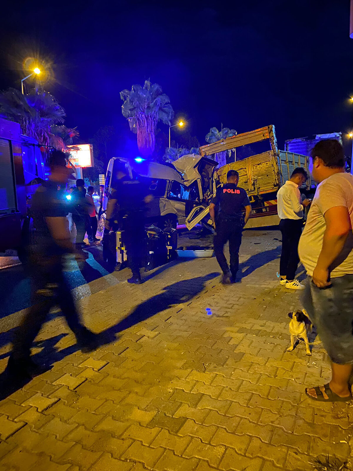 Antalya Havalimanı'ndan aldığı 11 turisti Manavgat'a götürmek üzere yola çıkan Hamit Şahin idaresindeki tur minibüsü, yolun sağ tarafında park halindeki kamyona arkadan çarptı. İhbarla olay yerine sağlık, polis ve itfaiye ekipleri sevk edildi. Kazada, doktor olduğu öğrenilen İsviçreli Diana Meyer hayatını kaybetti, sürücü Şahin ile isimleri tespit edilemeyen İsviçreli ve Alman 10 turist yaralandı.<br>