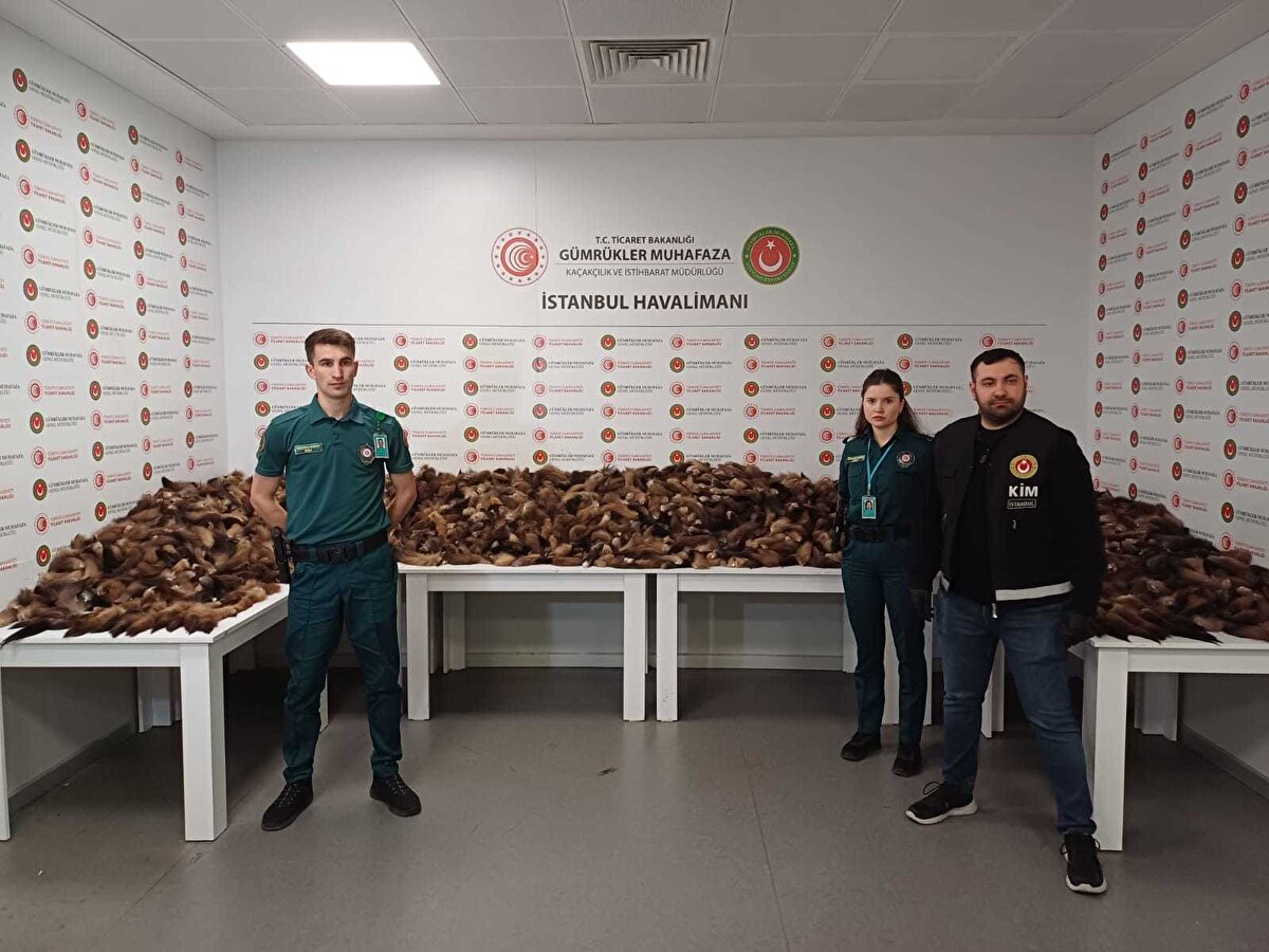 Olayla ilgili Gaziosmanpaşa Cumhuriyet Başsavcılığınca soruşturma başlatıldı.<br>