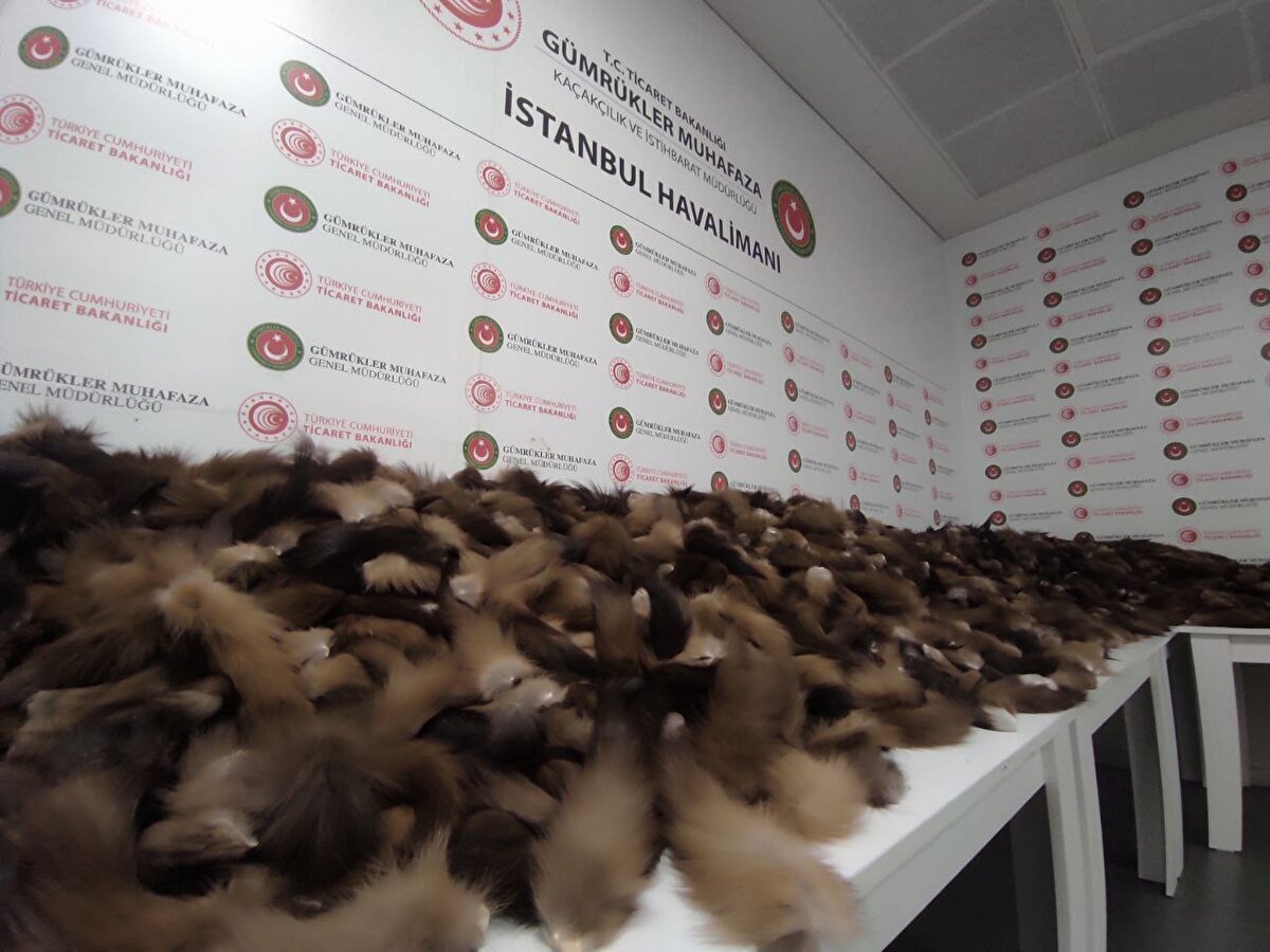 X-ray taramasının ardından başlatılan detaylı aramada valizlerin hayvan kuyruklarıyla dolu olduğu görüldü.