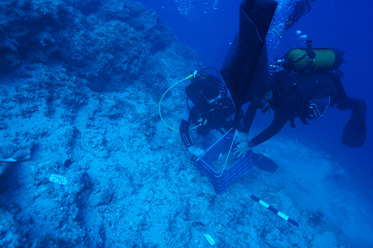 Kültür ve Turizm Bakanlığı izniyle yapılan kazılardan bu yılkinin 2 ay sürdüğünü belirten Doç. Dr. Öniz, gemiden çıkarılan bakır külçelere dikkati çekti. Doç. Dr. Öniz, Kıbrıs'taki bakır madenlerinden alınan külçeler halindeki bakırı batıdaki bir limana götürmek üzereyken geminin fırtına nedeniyle battığının tespit edildiğini söyledi.<br>