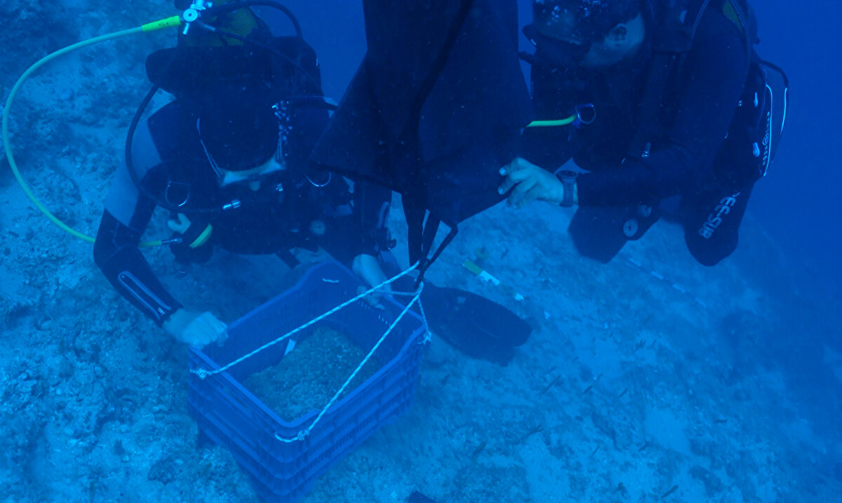 Dünyanın en eski batığı olarak bilinen Kumluca Orta Tunç Çağı Batığı'nın 50 metre derinlikte yürütülen su altı arkeolojik kazılarında, tarihi kalıntılara ulaşıldı. 300 metreye indirilen robotlardan da destek alınarak yapılan çalışmalarda, 3 bin 600 yıl önce battığı belirlenen gemide bakır külçeler bulundu.<br>