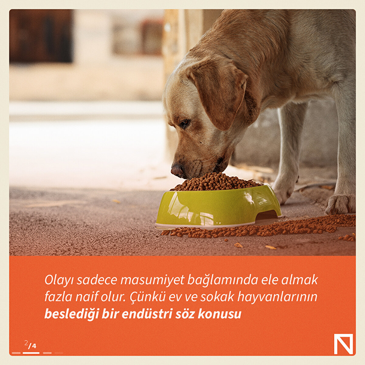 Olayı sadece masumiyet bağlamında ele almak fazla naif olur. Çünkü ev ve sokak hayvanlarının beslediği bir endüstri söz konusu