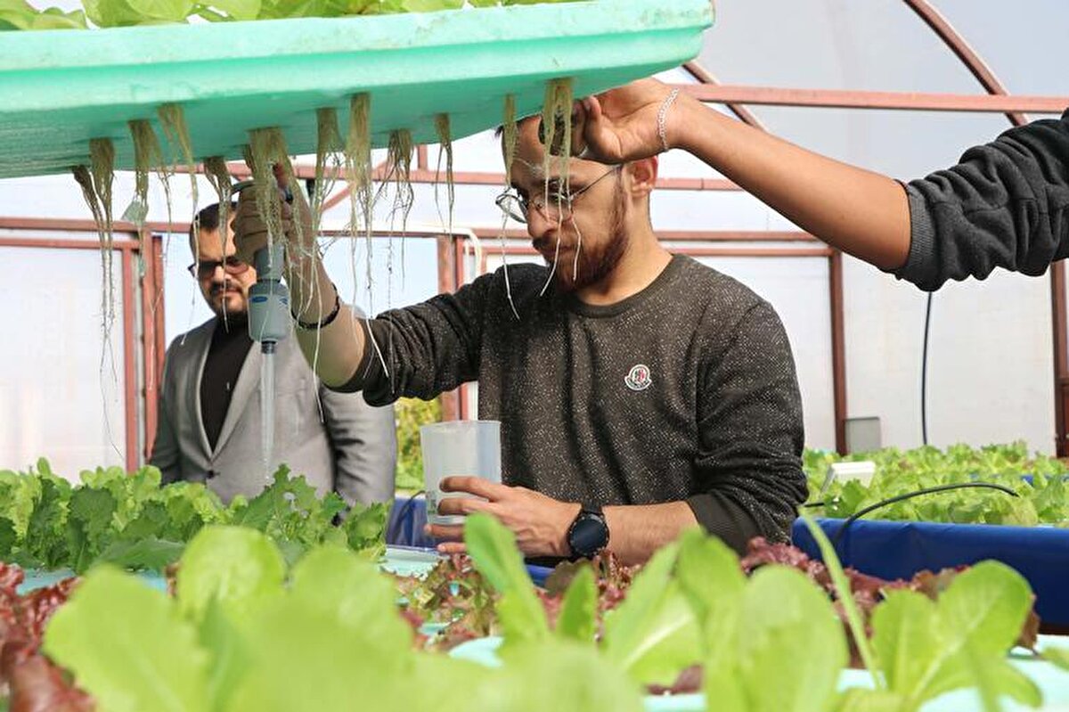 Danışmanımız Abdullah Ulaş'ın bize öğrettiği teknikler ile bu çalışmaları yürütüyoruz. Doktoramızı bitirdikten sonra hem yurt içi hem de yurt dışında bu işlemleri uygulayarak istihdam sağlamayı düşünüyoruz. Ülkemize döndüğümüzde bu işlemlerle istihdam sağlamaya çalışacağız" dedi.